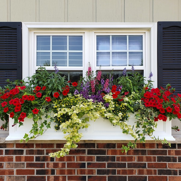 Fairfield Window Box 4' - White